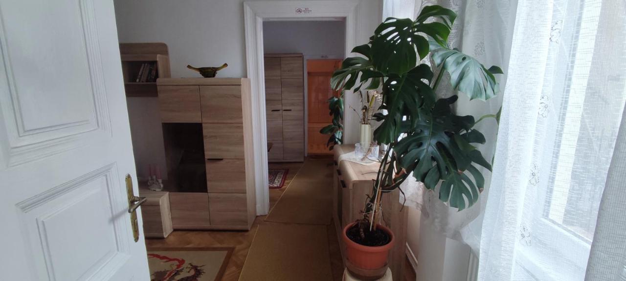 Julia Apartman. Budapeste Exterior foto